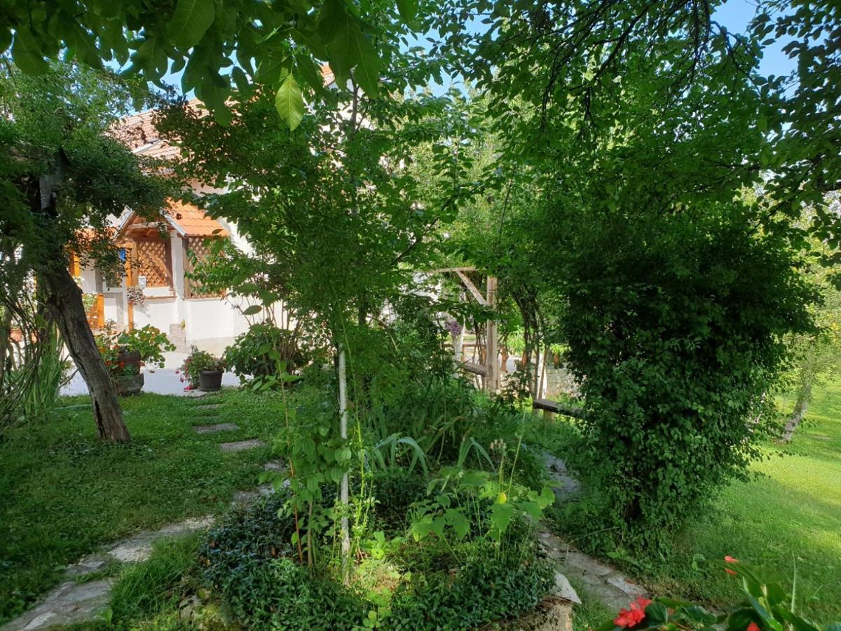 Apartment Liso Seliste Dreznicko Exteriér fotografie