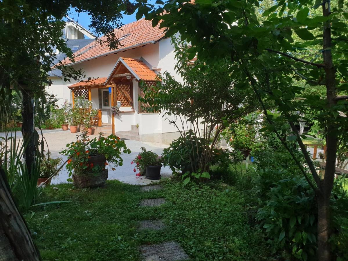 Apartment Liso Seliste Dreznicko Exteriér fotografie