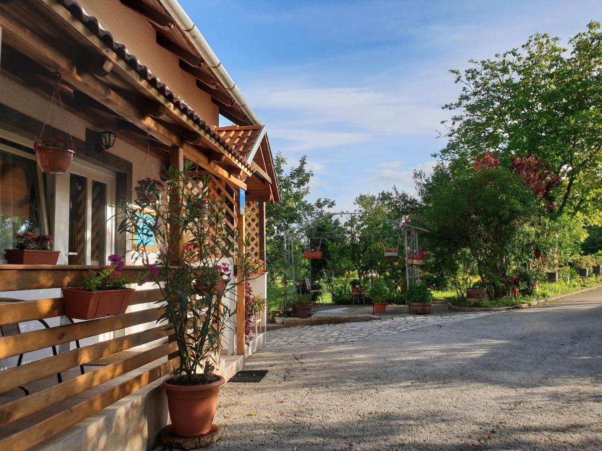 Apartment Liso Seliste Dreznicko Exteriér fotografie